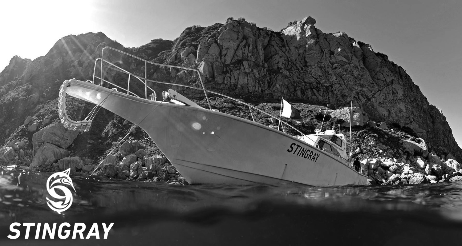 福岡 玄界灘 ヒラマサキャスティング 遊漁船 スティングレイ