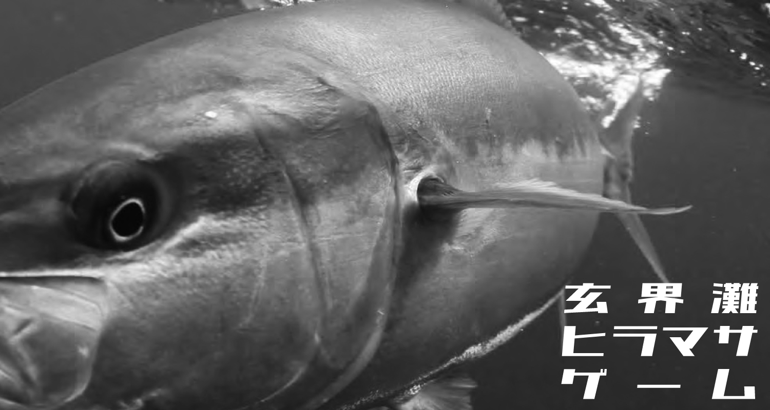 玄界灘 ヒラマサキャスティング(ヒラマサ)